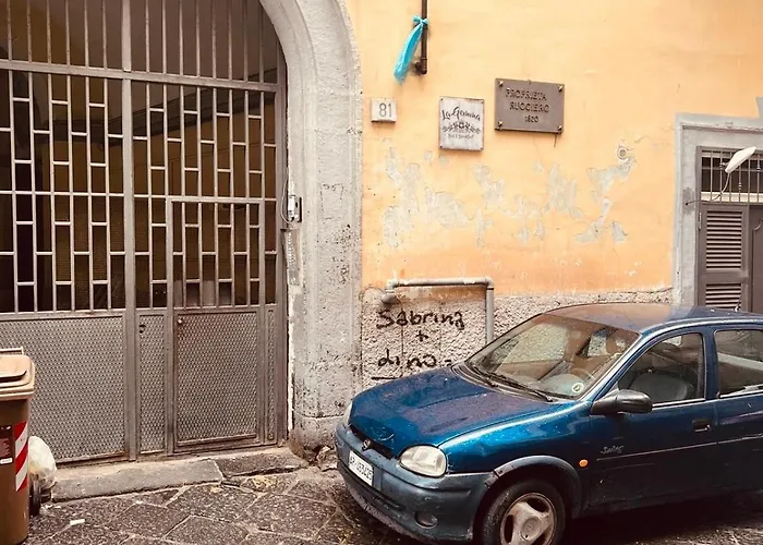 Civico 81